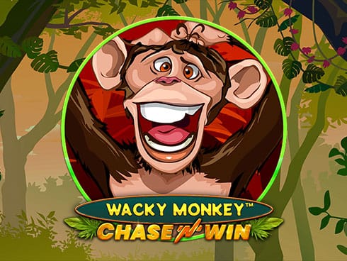 ویکی منکی - چیس این ون game icon