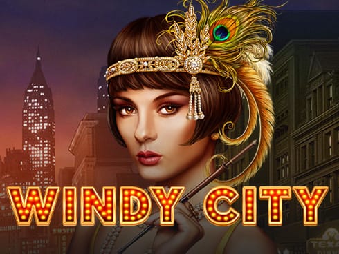 ونڈی سٹی game icon